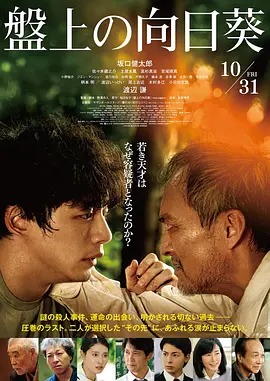 棋盘上的向日葵电影版