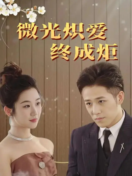 微光炽爱终成炬(全集)