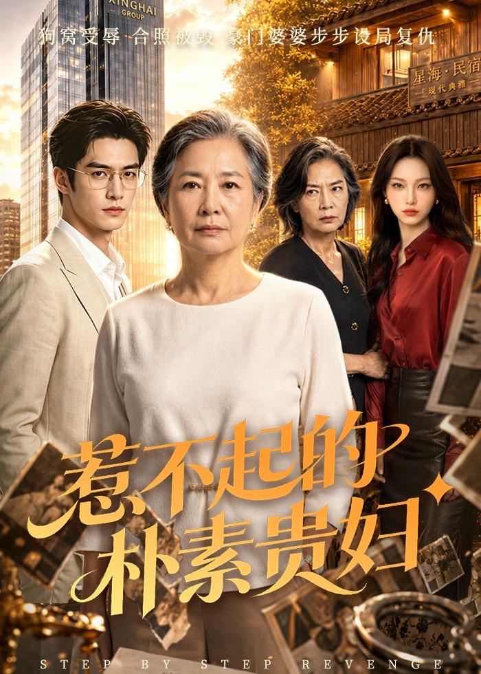 惹不起的朴素贵妇(全集)